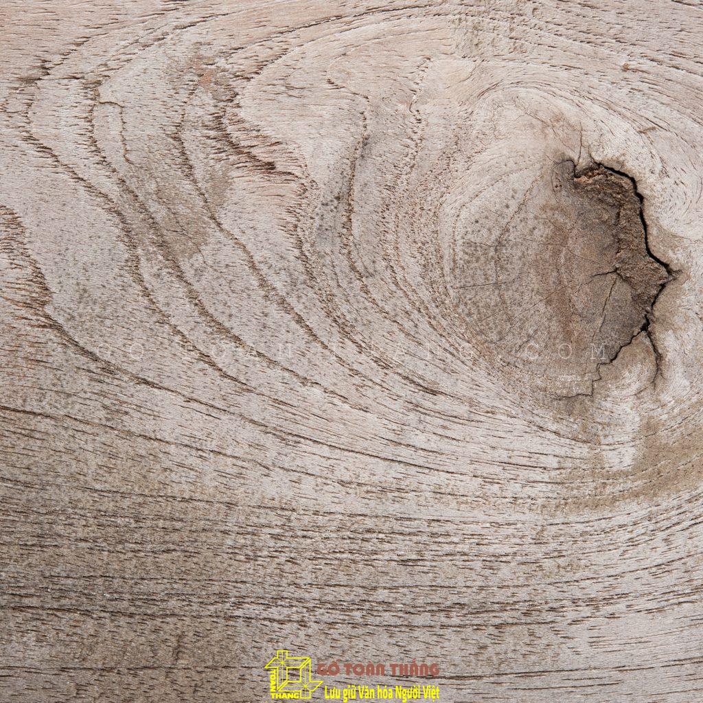 Đặc điểm và ứng dụng của Cây gỗ Sồi (Oak) trong nội thất 12 pexels fwstudio 129721