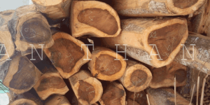 dac diem go chiu liu