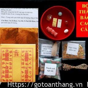 Cốt thất bảo cơ bản CTB-01